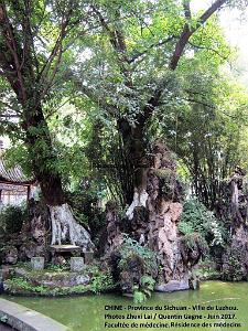 Luzhou juin 2017 - 015